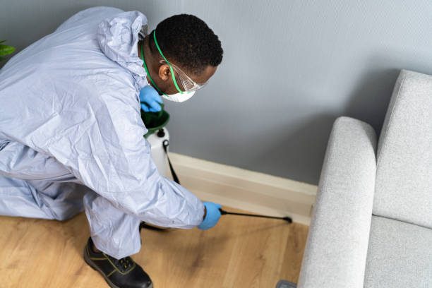 Real Estate Pest Inspections in Tropical Park, FL